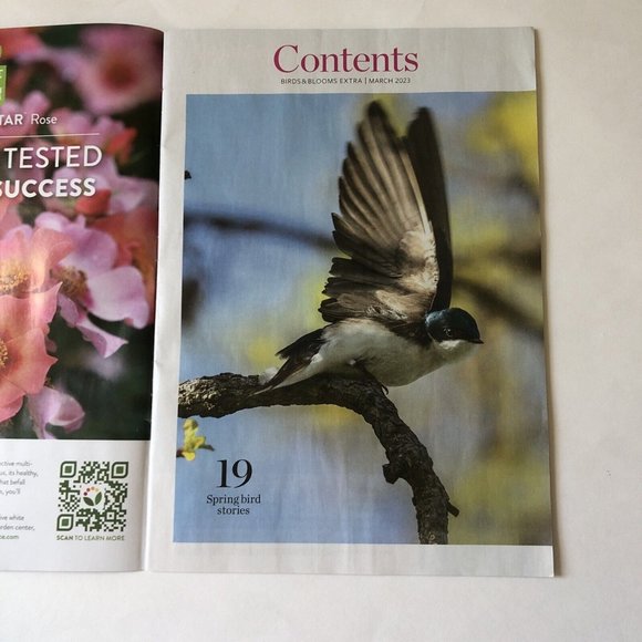 Birds and Blooms Mag March Extra 2023-Finches-Herbs-feeding hacks-ground cover - Picture 2 of 9